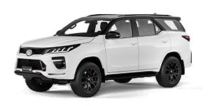 Fortuner DX--25